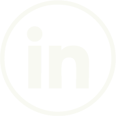 LinkedIn icon