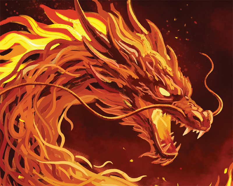 Samyang illustration details