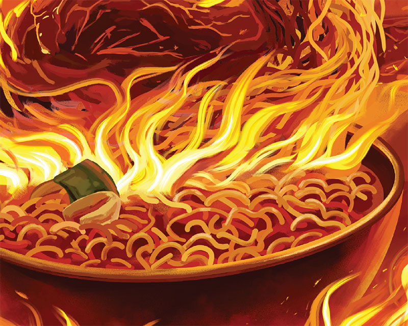 Samyang illustration details