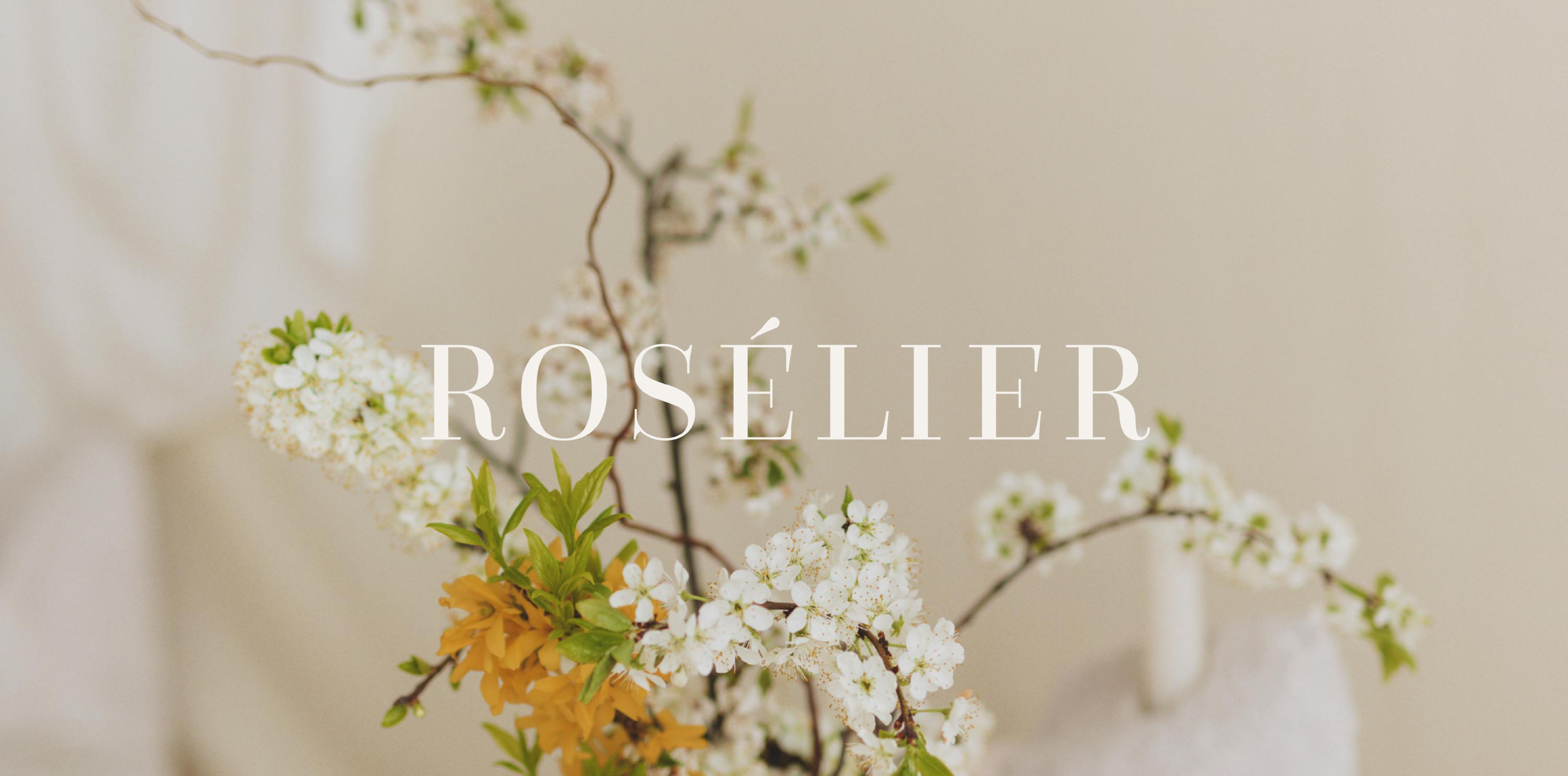 ROSÉLIER identity project